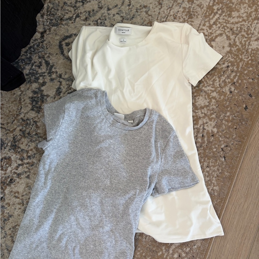 Aritzia T-shirts Crewneck Tee + Heather Gray Tee Duo (size small)